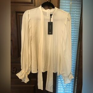 Sheer Blouse